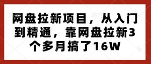 网盘拉新项目，从入门到精通，靠网盘拉新3个多月搞了16W-大兵轻创资源库