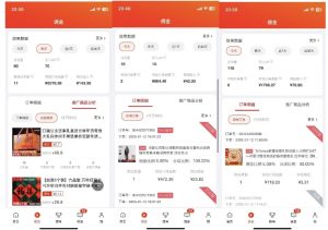 2025最新京东蓝海项目，0 门槛日入 1k+，小白宝妈轻松上手【揭秘】-大兵轻创资源库