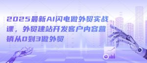 2025最新AI闪电做外贸实战课,外贸建站开发客户内容营销从0到3做外贸-大兵轻创资源库