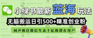 小绿书无脑搬运引流,全自动日引500精准创业粉,微信生态内又一个闷声发财的机会-大兵轻创资源库