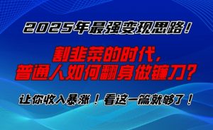 2025年最强变现思路，割韭菜的时代， 普通人如何翻身做镰刀？【揭秘】-大兵轻创资源库
