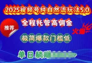2025视频号纯自然流玩法5.0，全程托管高佣金，极简爆款门槛低，单日收益多张【揭秘】-大兵轻创资源库