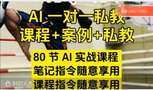 AI指令实战课，课程+案例，80节AI实战课程，笔记指令随意享用，课程指令随意享用-大兵轻创资源库