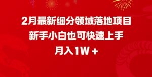 2月最新细分领域落地项目，新手小白也可快速上手，月入1W-大兵轻创资源库