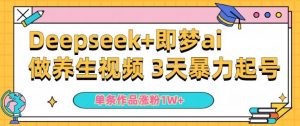 小白用DeepSeek+即梦做ai养生视频,一条作品涨粉5万+,单日收益多张-大兵轻创资源库