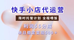 快手小店代运营3.0，模式新升级，收益55分，稳定单日5张【揭秘】-大兵轻创资源库