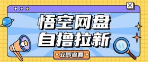 全网首发悟空网盘云真机自撸拉新项目玩法单机可挣10.20不等-大兵轻创资源库