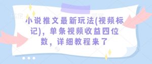 小说推文最新玩法(视频标记)，单条视频收益四位数，详细教程来了-大兵轻创资源库