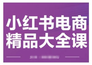 小红书电商精品大全课,快速掌握小红书运营技巧,实现精准引流与爆单目标,轻松玩转小红书电商-大兵轻创资源库
