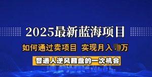 2025蓝海项目，普通人如何通过卖项目，实现月入过W，全过程【揭秘】-大兵轻创资源库