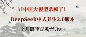 AI中医大模型杀疯了!DeepSeek中式养生2.0版本,十几篇笔记粉丝3w+-大兵轻创资源库