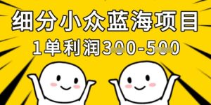 细分小众蓝海项目,一单利润3张,每月收入稳定过1w+-大兵轻创资源库