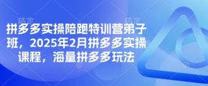 拼多多实操陪跑特训营弟子班,2025年2月拼多多实操课程,海量拼多多玩法-大兵轻创资源库