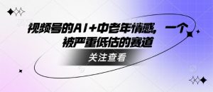 视频号的AI+中老年情感，一个被严重低估的赛道-大兵轻创资源库