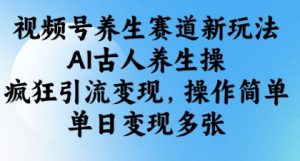 视频号养生赛道新玩法,AI古人养生操,疯狂引流变现,操作简单,单日变现多张-大兵轻创资源库