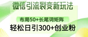 微信引流裂变新玩法：布局50+长尾词矩阵，轻松日引300+创业粉-大兵轻创资源库