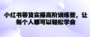 小红书带货实操高阶训练营,让每个人都可以轻松学会-大兵轻创资源库