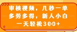 最新审核视频,几秒一单,多劳多得,新人小白一天轻松3张【揭秘】-大兵轻创资源库
