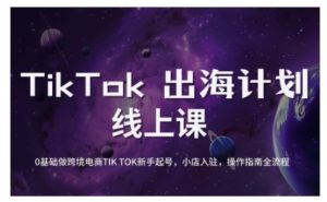 TikTok跨境电商新手起号与运营全攻略，0基础做跨境电商TIKTOK新手起号，小店入驻，操作指南全流程-大兵轻创资源库