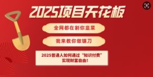 2025项目天花板普通人如何通过知识付费,实现财F自由【揭秘】-大兵轻创资源库