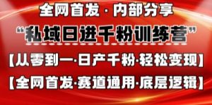 私域日进千粉训练营,全网首发,从0开始带你做好私域,适用于任何赛道,让日产千粉不再是梦-大兵轻创资源库