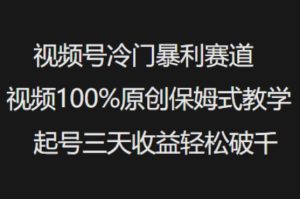 视频号冷门暴利赛道视频100%原创保姆式教学起号三天收益轻松破千-大兵轻创资源库