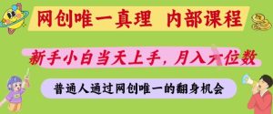 网创唯一真理,内部课程,新手小白当天上手,月入5位数,普通人通过网创唯一的机会【揭秘】-大兵轻创资源库