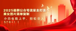 2025最新公众号流量主打法，美女图片简单复制，小白也能上手，轻松日入5张-大兵轻创资源库