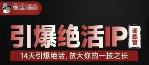 引爆绝活IP训练营,14天引爆绝活,放大你的一技之长-大兵轻创资源库