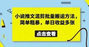 小说推文混剪批量搬运方法,简单粗暴,单日收益多张-大兵轻创资源库