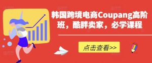 韩国跨境电商Coupang高阶班,酷胖卖家,必学课程-大兵轻创资源库