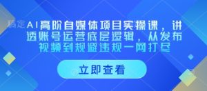 AI高阶自媒体项目实操课,讲透账号运营底层逻辑,从发布视频到规避违规一网打尽-大兵轻创资源库