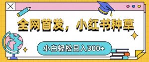 小红书种草,手机项目,日入3张,复制黏贴即可,可矩阵操作,动手不动脑【揭秘】-大兵轻创资源库