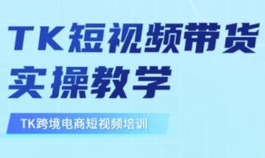 东南亚TikTok短视频带货,TK短视频带货实操教学-大兵轻创资源库