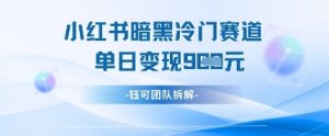 小红书冷门”暗黑”赛道,单日收益多张-大兵轻创资源库