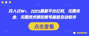月入过W+,2025最新平台红利,无需本金、无需技术绑定账号就能自动收米-大兵轻创资源库