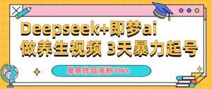小白用DeepSeek+即梦做ai养生视频,一条作品涨粉5万+,单日收益多张-大兵轻创资源库