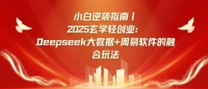 小白逆袭指南,2025玄学轻创业:Deepseek大数据+周易算法的融合玩法-大兵轻创资源库