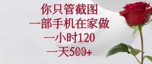 你只管截图,一部手机在家做,苹果安卓都可以,一小时120,一天5张+【揭秘】-大兵轻创资源库