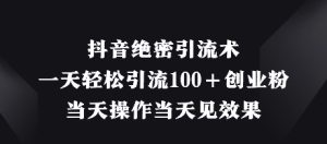 抖音绝密引流术,一天轻松引流100+创业粉,当天操作当天见效果-大兵轻创资源库