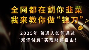 全网都在割你韭菜,我来教你做镰刀,2025普通人如何通过知识付费,实现财F自由【揭秘】-大兵轻创资源库