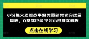 小说推文短篇故事混剪最新剪辑实操全流程，0基础也能学会小说推文教程，肯干多发日入多张-大兵轻创资源库