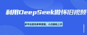 利用DeepSeek做怀旧视频，流量号多渠道变现能力强-大兵轻创资源库
