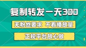 转发视频一天3张+,正规平台放心做,不看播放量,无粉丝要求,随时随地挣收益【揭秘】-大兵轻创资源库