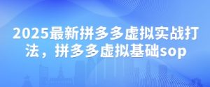 2025最新拼多多虚拟实战打法,拼多多虚拟基础sop-大兵轻创资源库