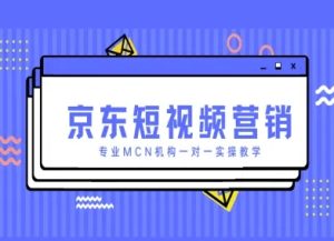 京东短视频营销项目,专业MCN机构一对一实操教学-大兵轻创资源库