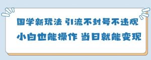 国学新玩法,引流不封号不违规小白也能操作,当日就能变现-大兵轻创资源库
