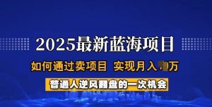 2025蓝海项目，普通人如何通过卖项目，实现月入过W，全过程【揭秘】-大兵轻创资源库