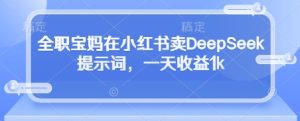 全职宝妈在小红书卖DeepSeek提示词,一天收益1k-大兵轻创资源库