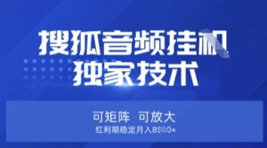 【搜狐音频挂G】独家技术,可矩阵可放大,红利期稳定月入8k【揭秘】-大兵轻创资源库